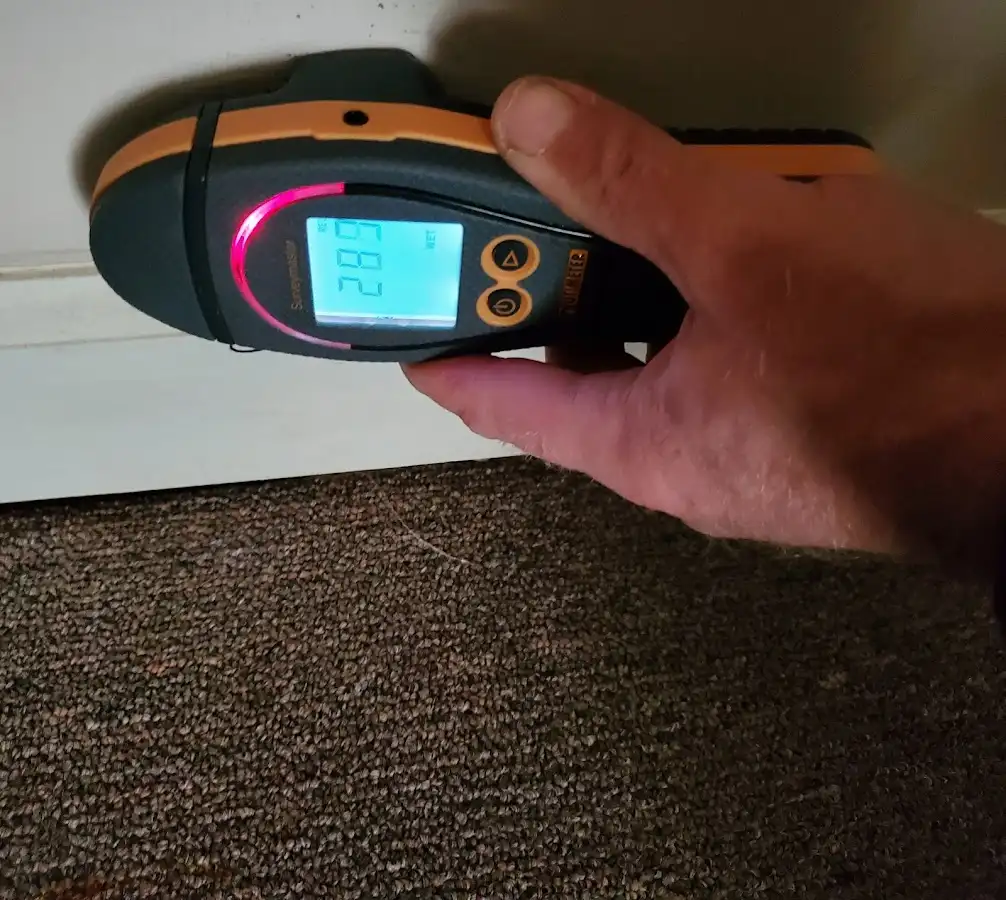 Moisture detection at baseboard during Sewage Cleanup & Sanitation in Burlington